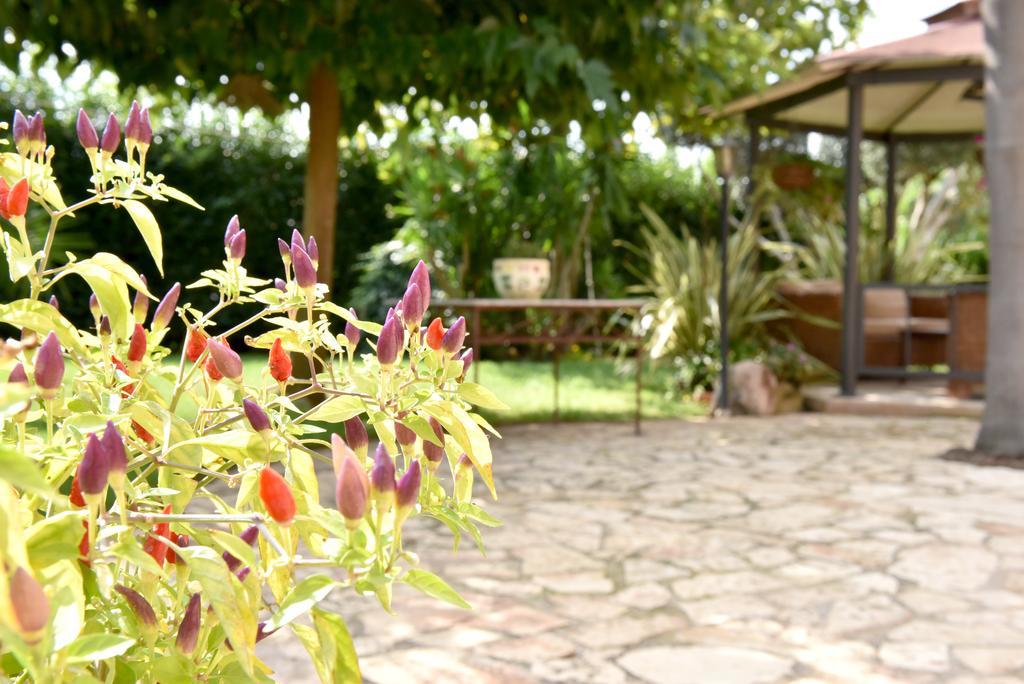 B&B Villa Anastasia Club メザーニェ エクステリア 写真